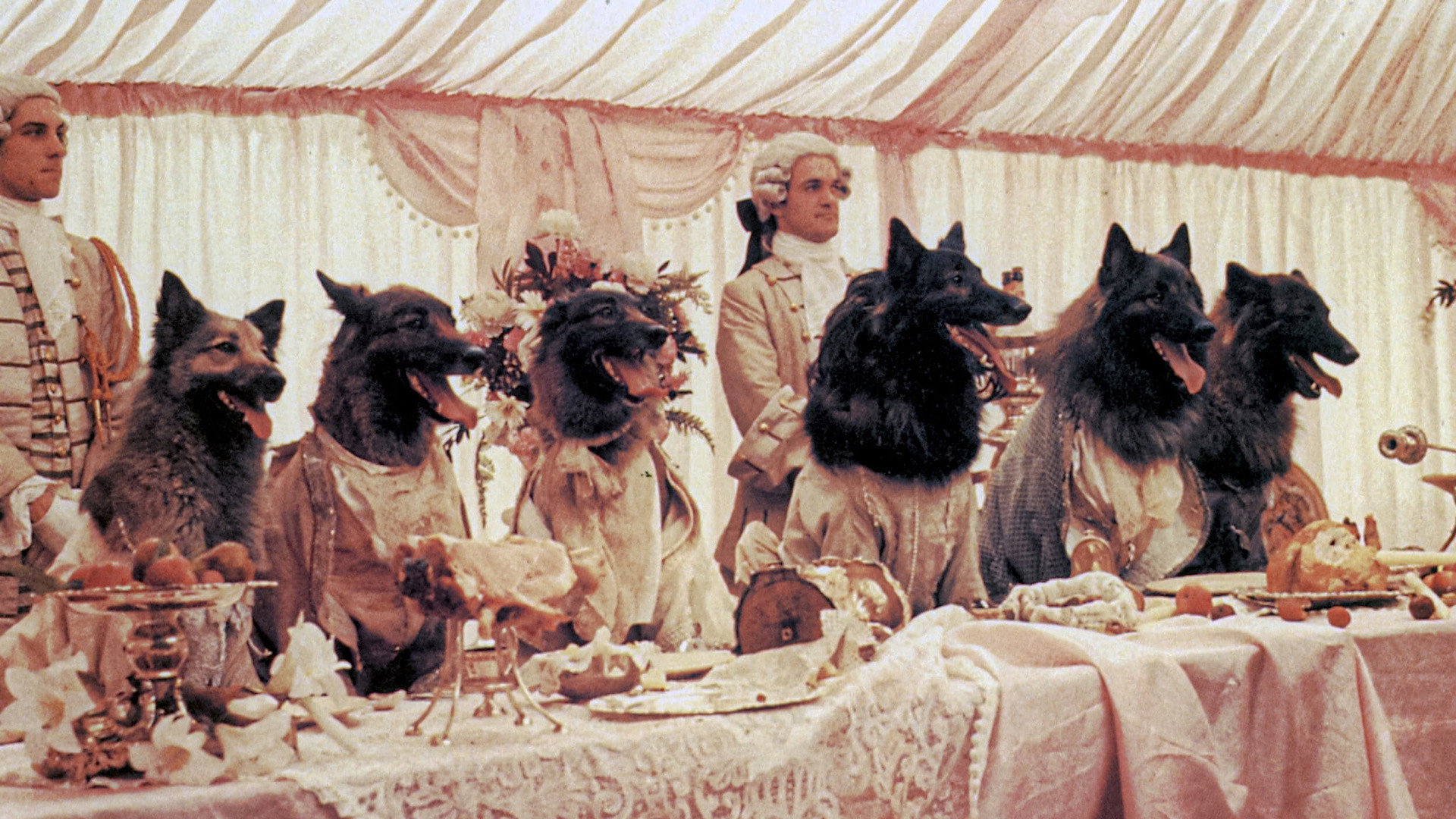 The Company of Wolves's poster