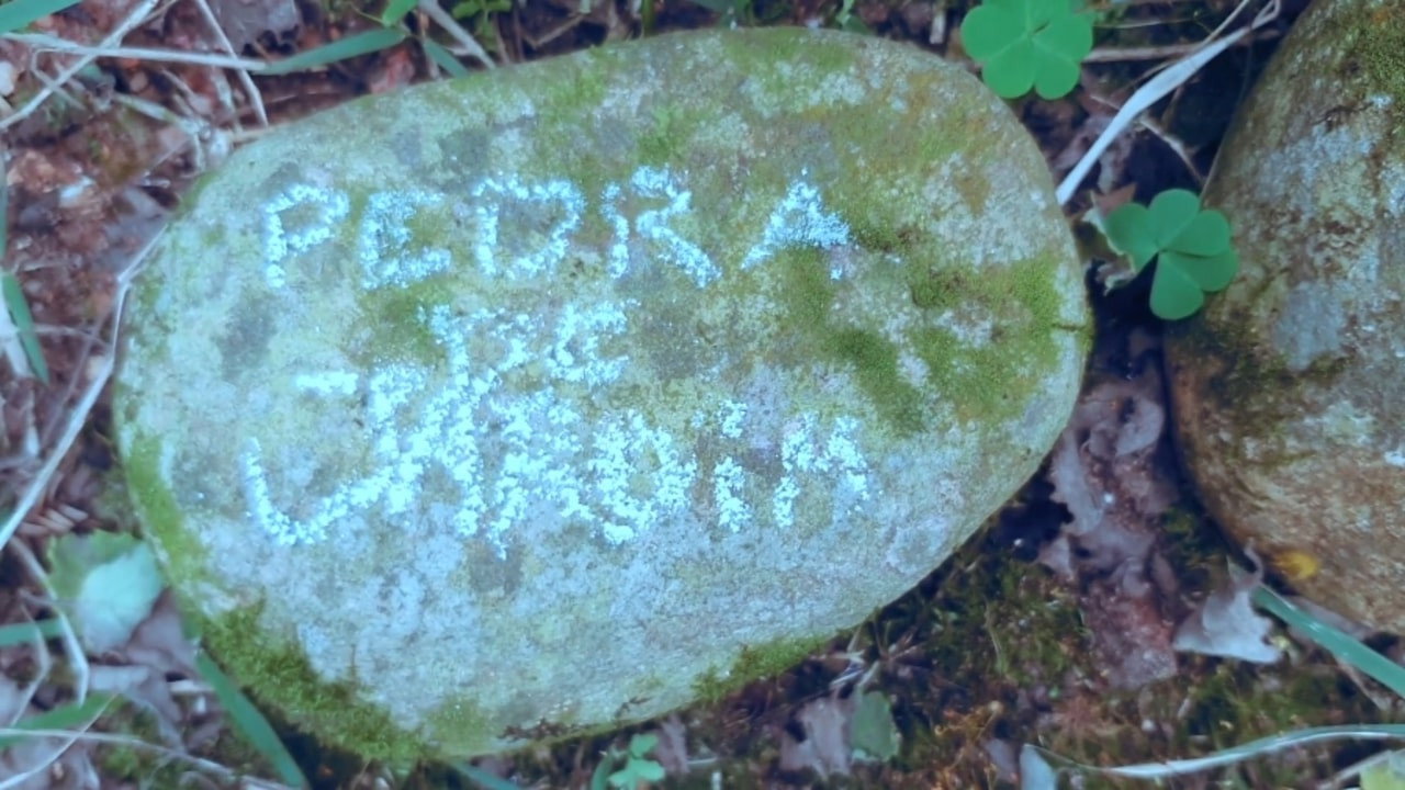 pedra de jardim's poster