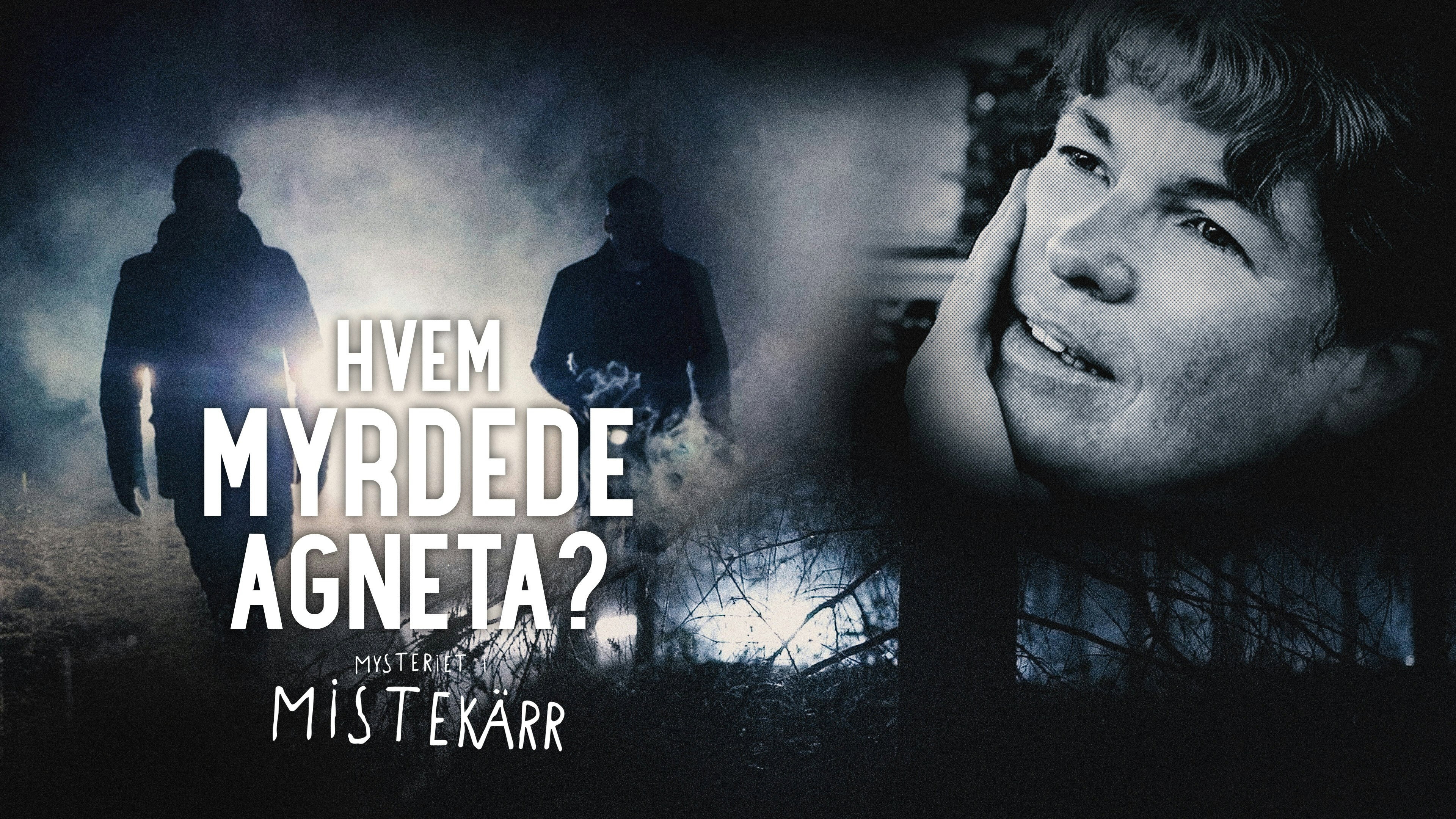 Vem dödade Agneta? - Mysteriet i Mistekärr's poster