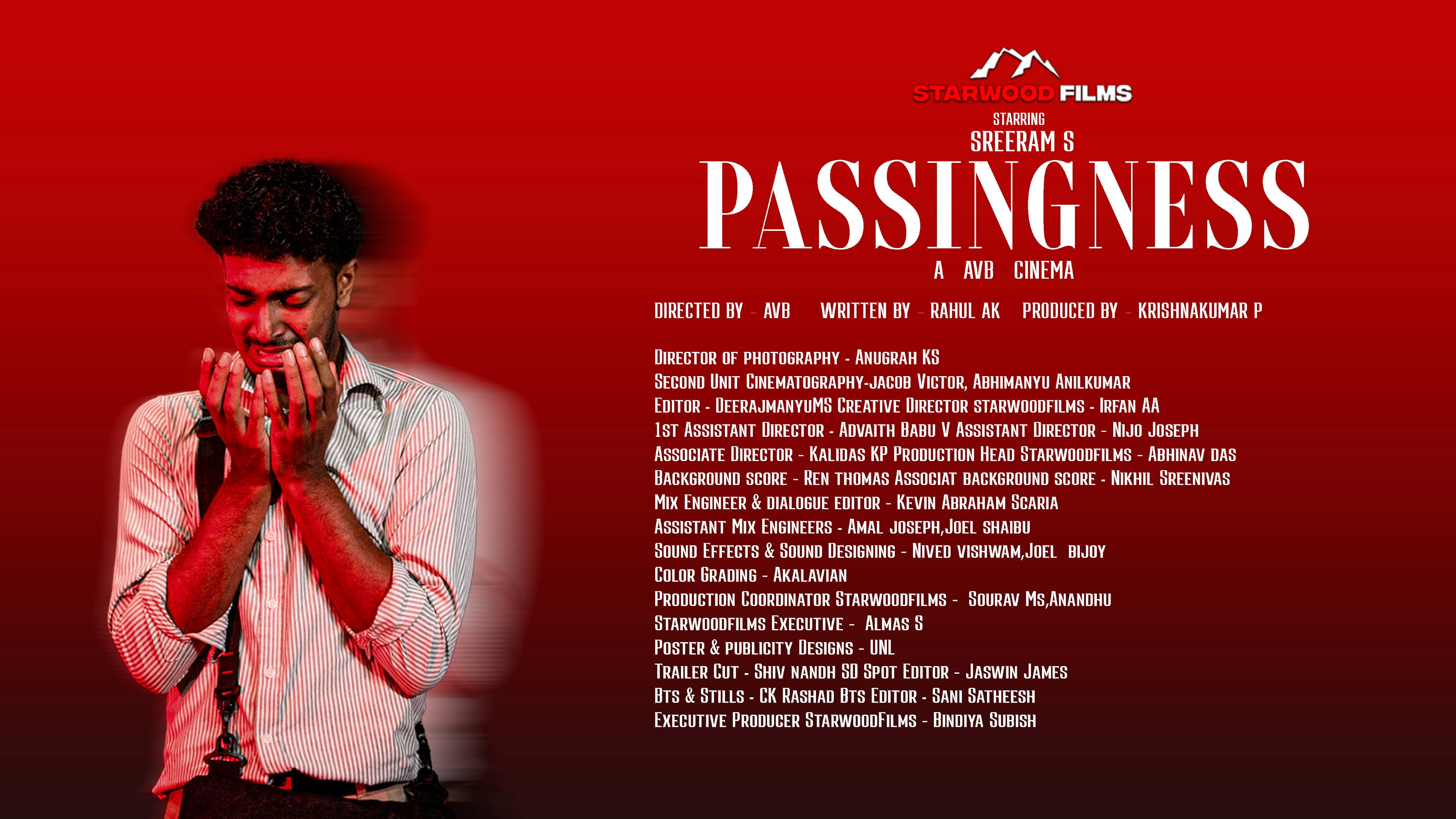 Passingness's poster