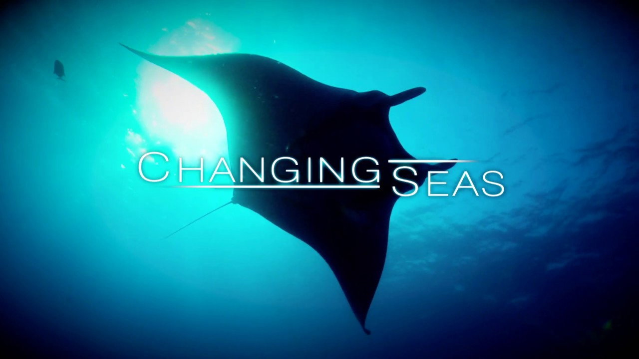 Changing Seas's poster