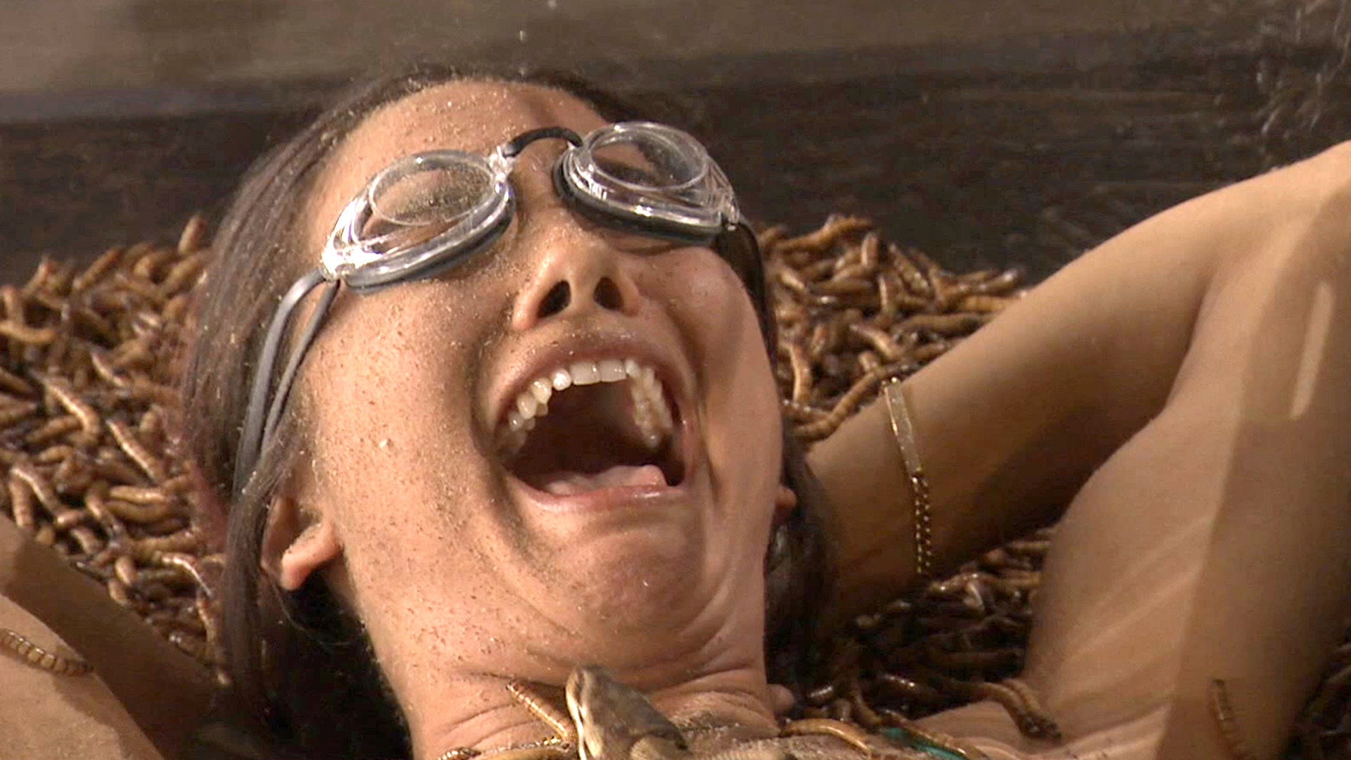 Fear Factor's poster