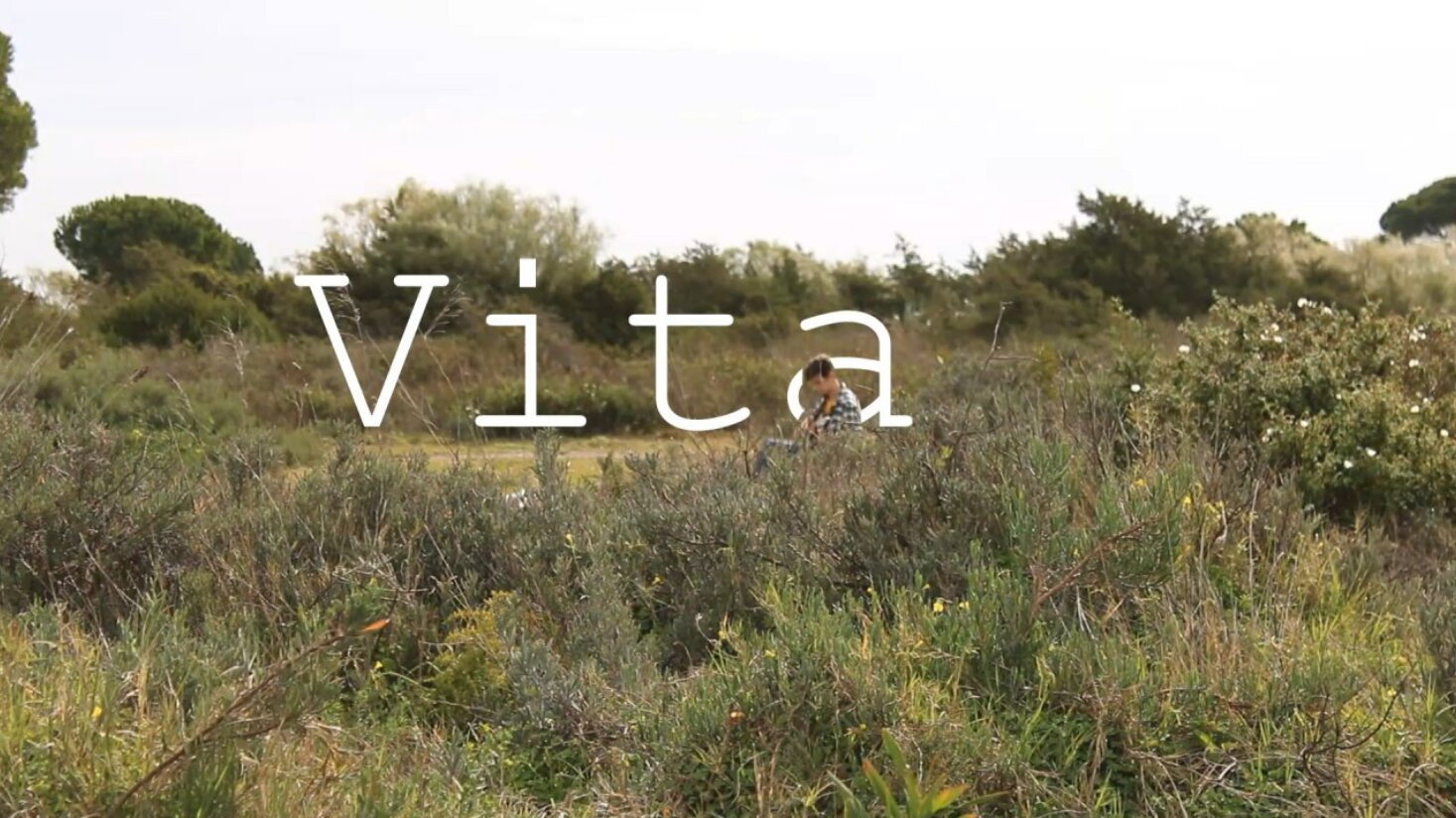 Vita's poster