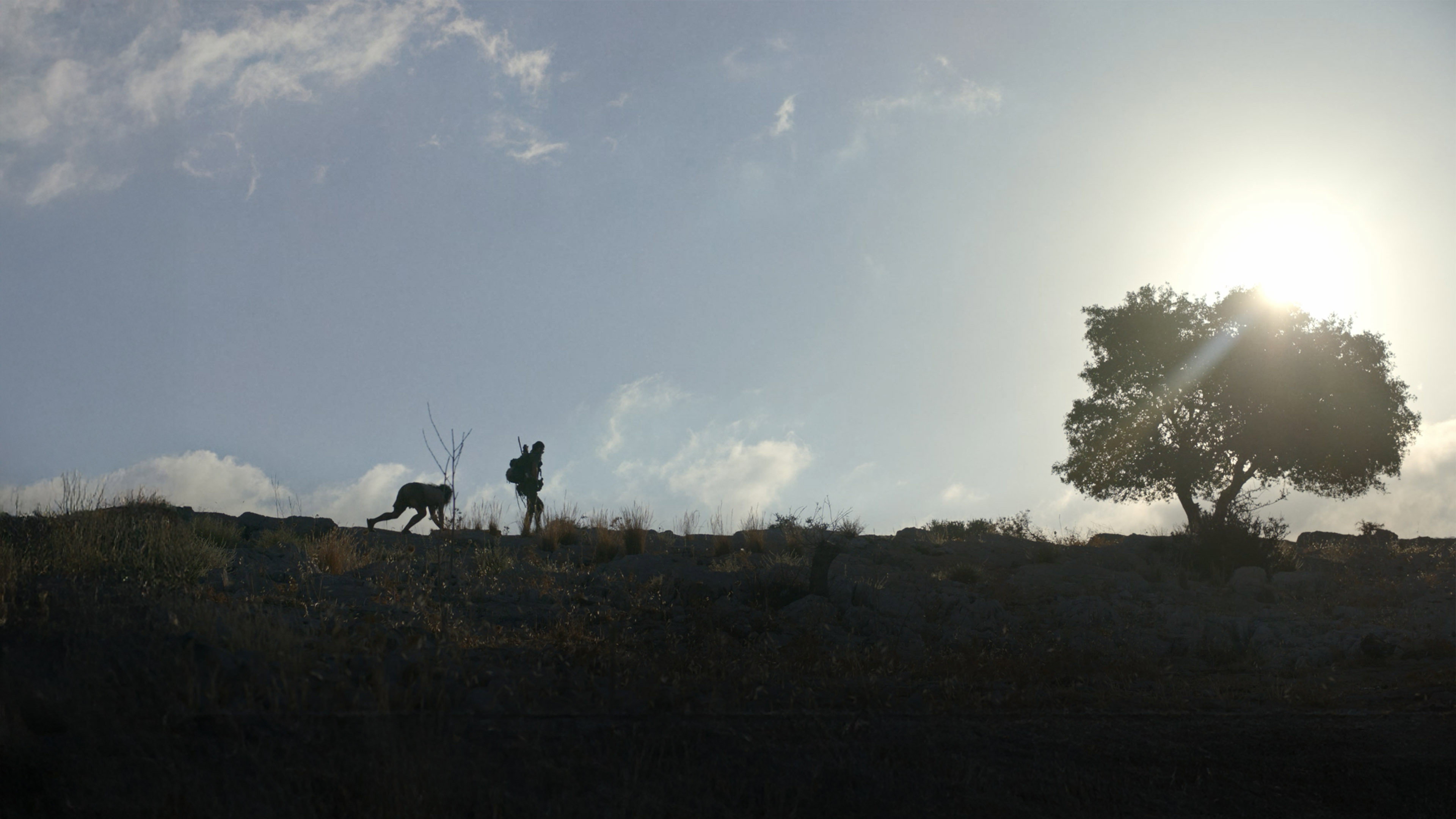Cave's poster