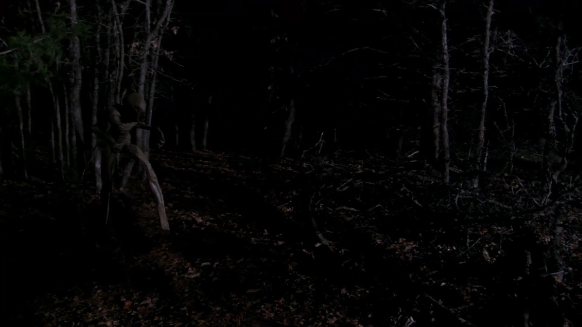The Hunt's poster