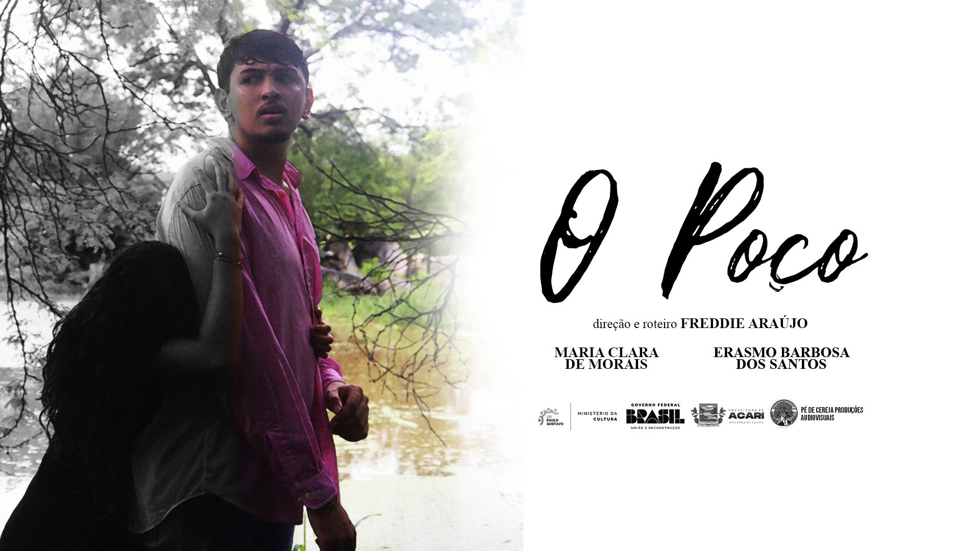 O Poço's poster
