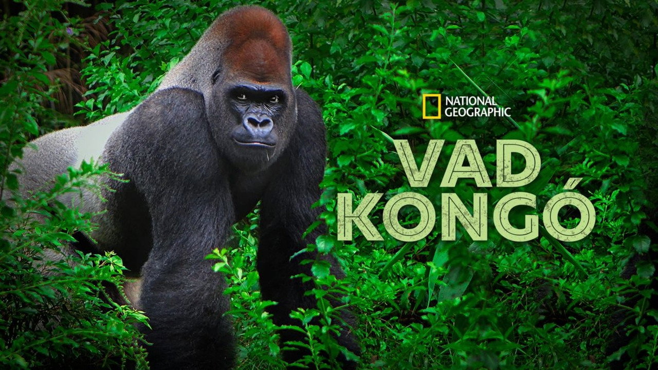 Wild Congo's poster