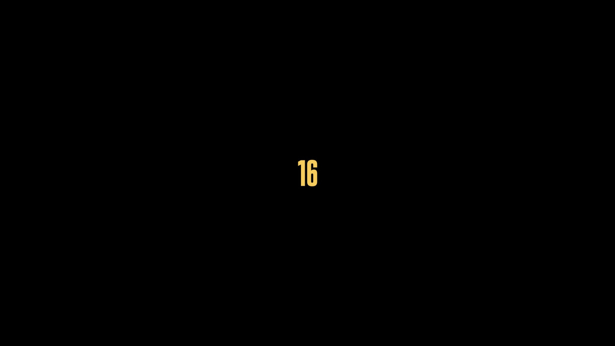 16's poster