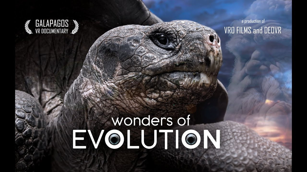 Wonders of Evolution's poster