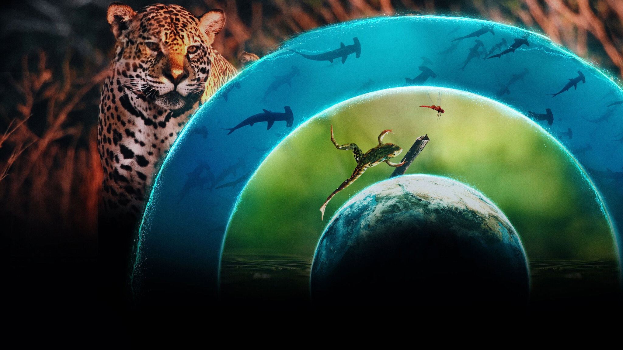 Our Living World's poster