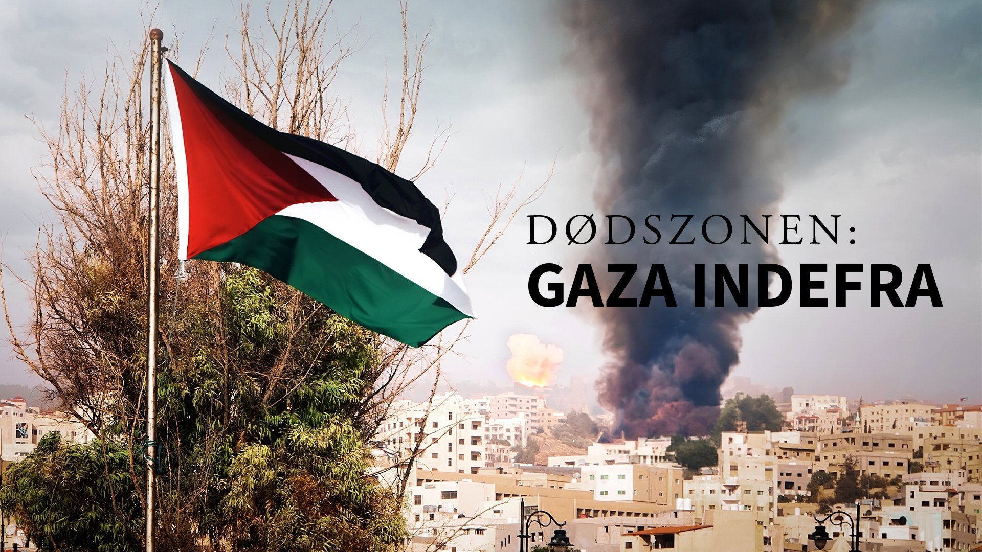 Kill Zone: Inside Gaza's poster