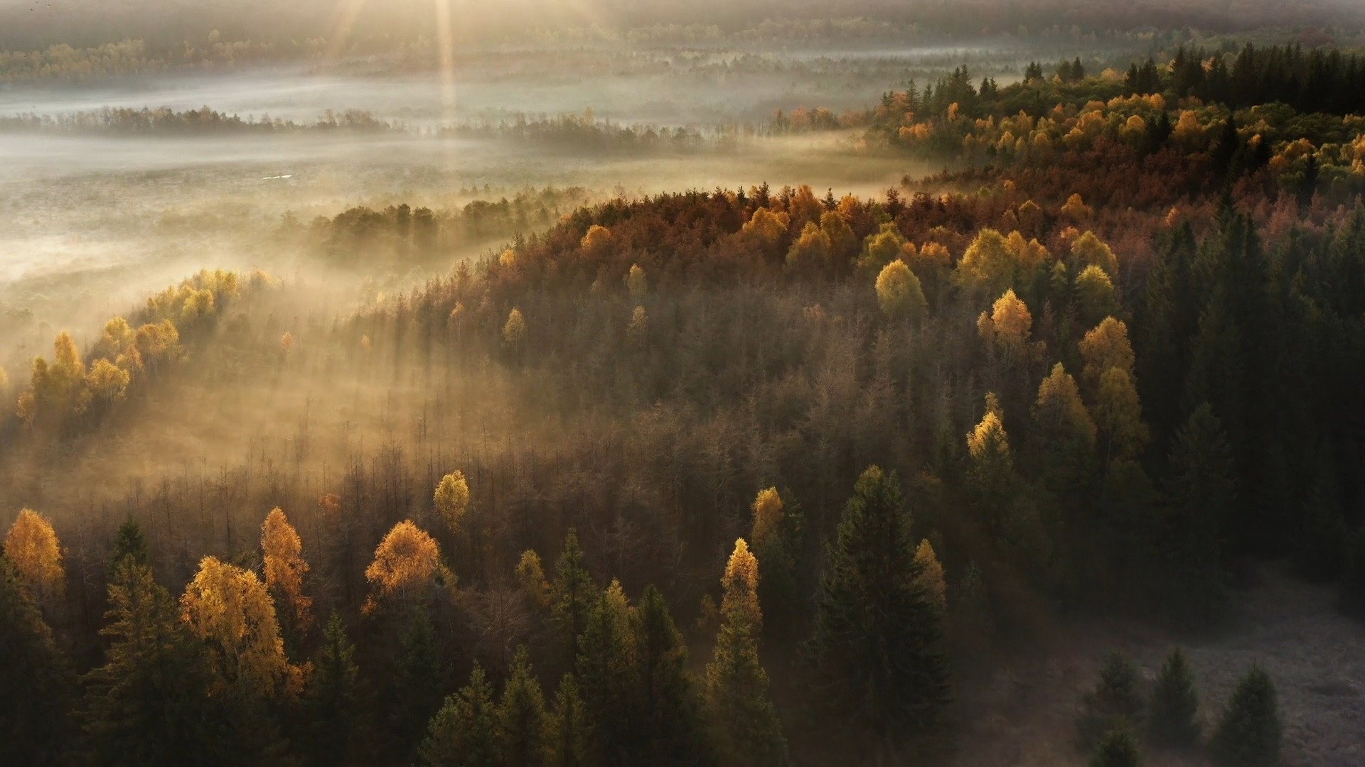Wild Romania's poster