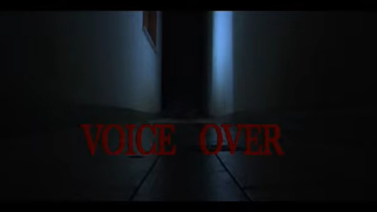 Voice Over's poster