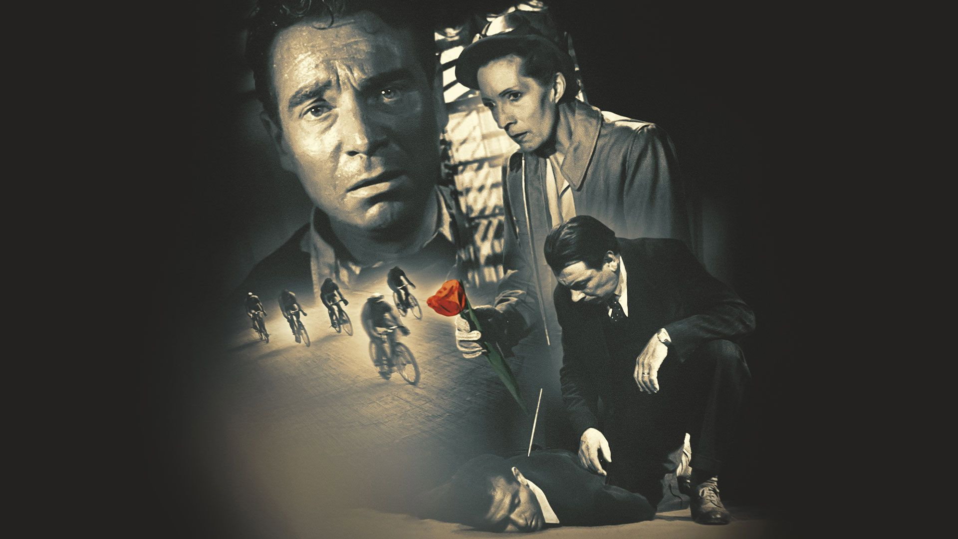 Five Red Tulips's poster