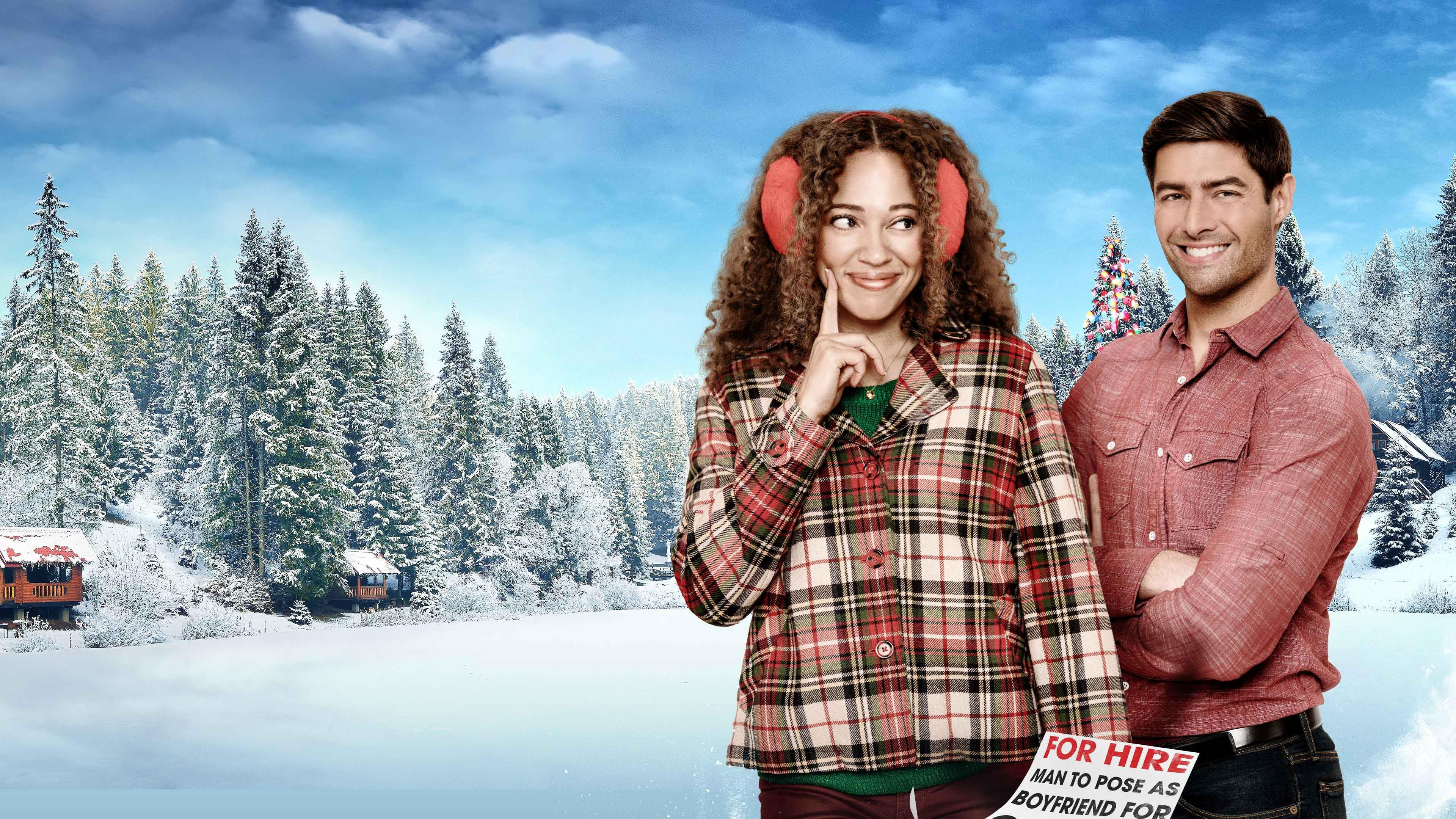 Holiday for Hire's poster