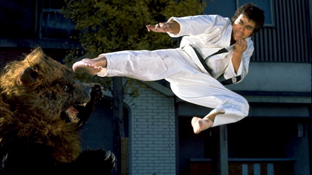 Karate Bear Fighter's poster