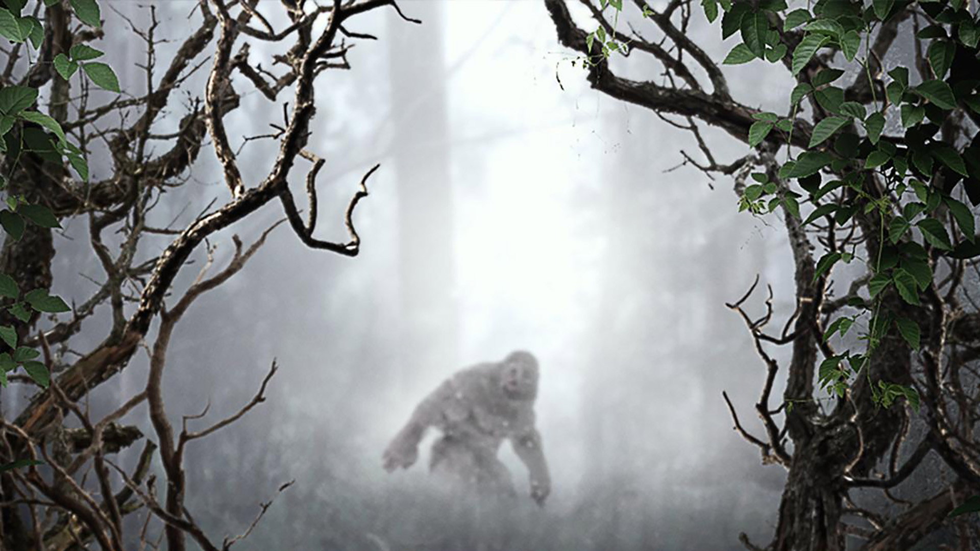 MonsterQuest's poster