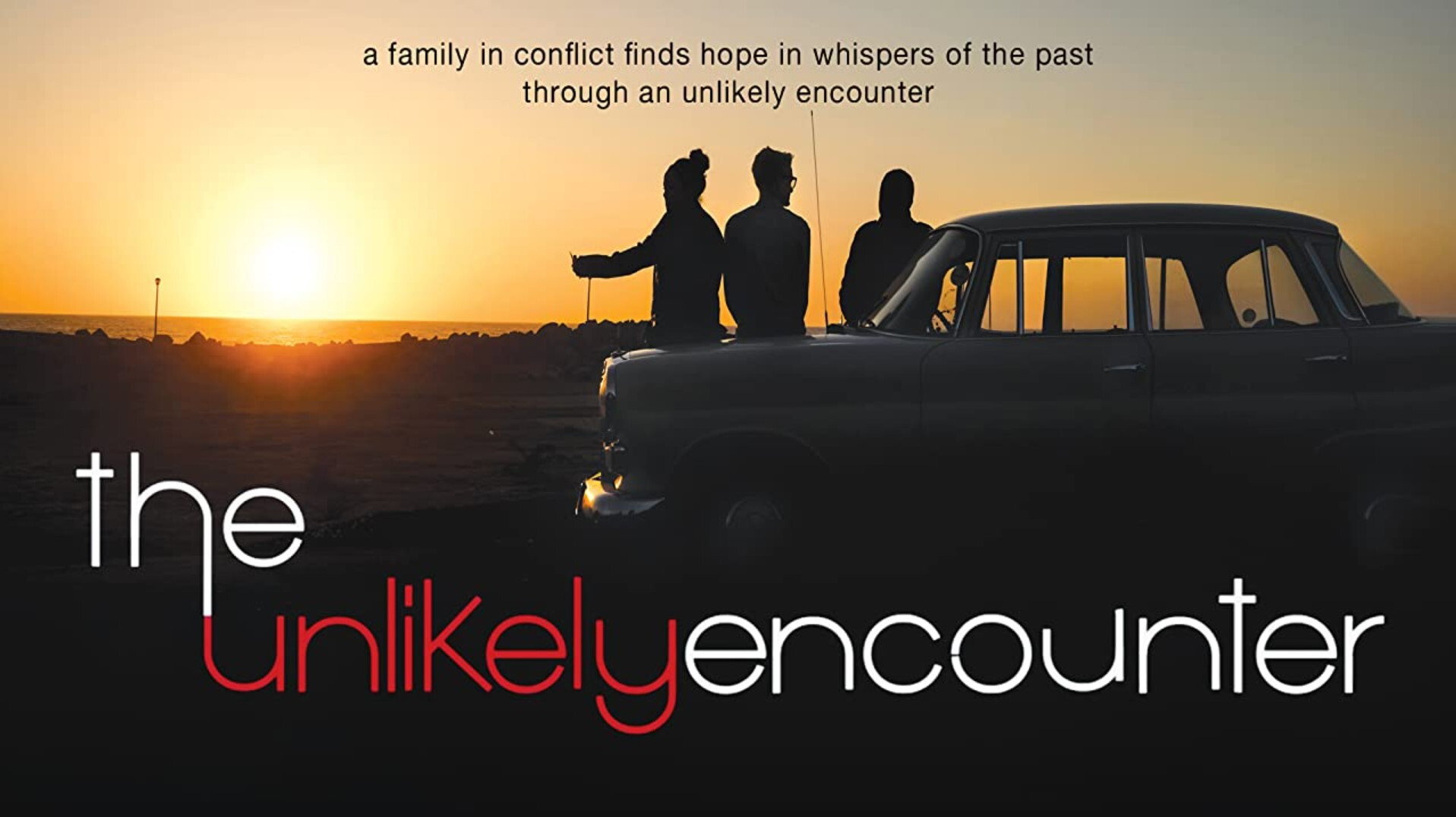 The Unlikely Encounter's poster
