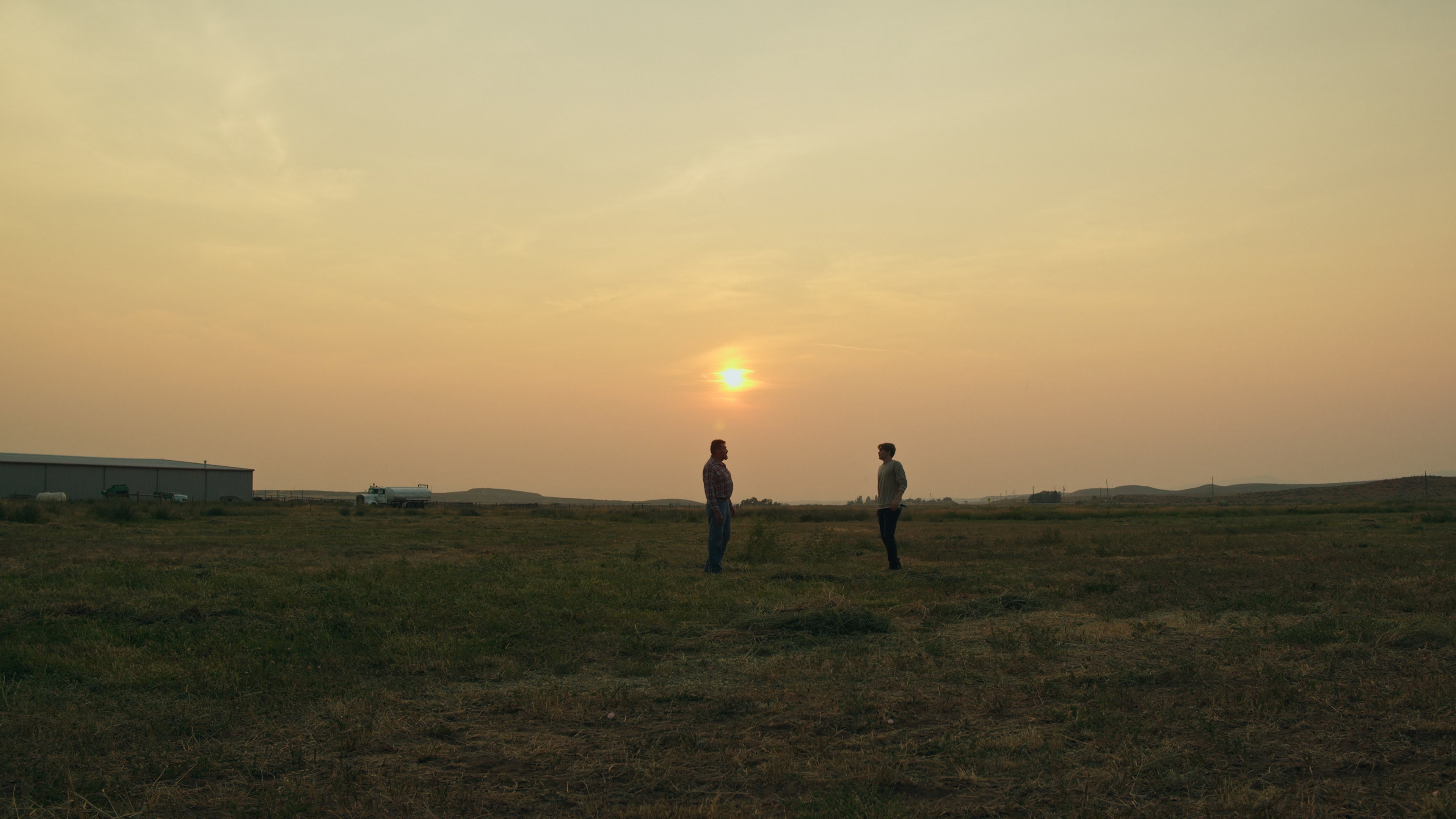 The Summer Field's poster