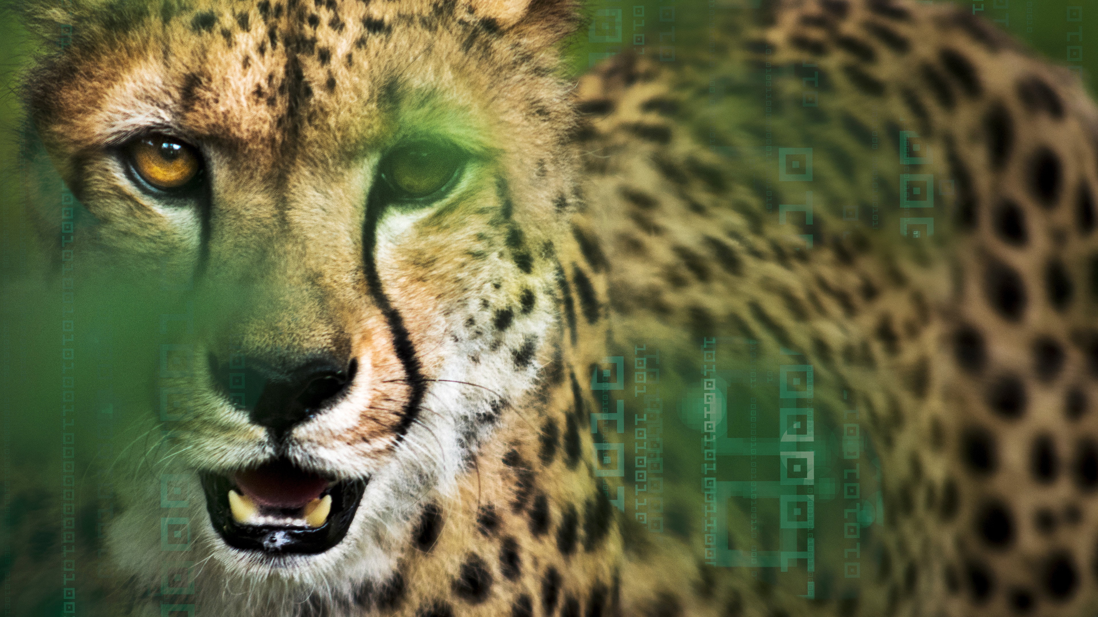 Hacking the Wild's poster