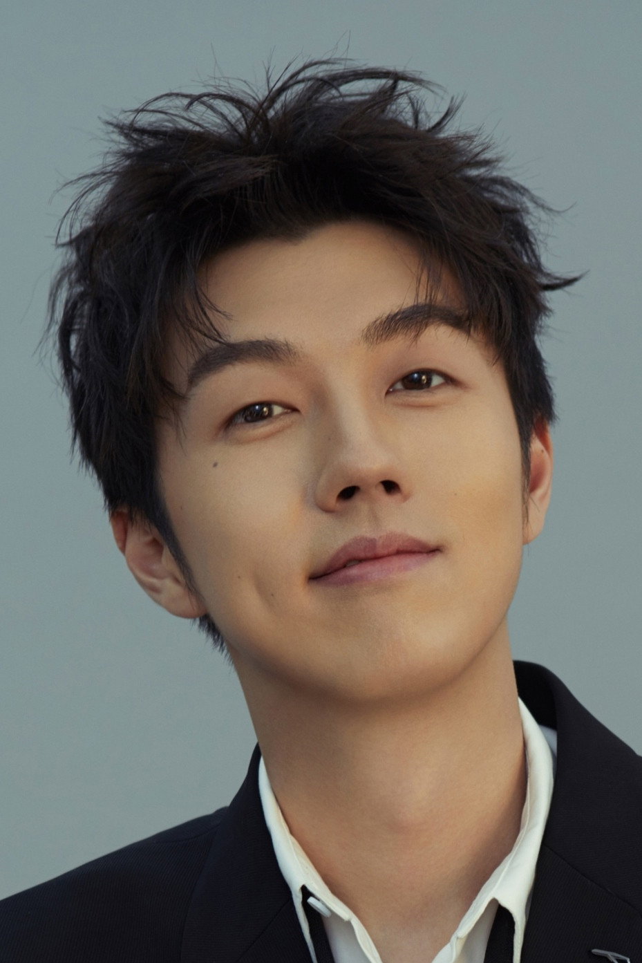 Liu Youchang's poster