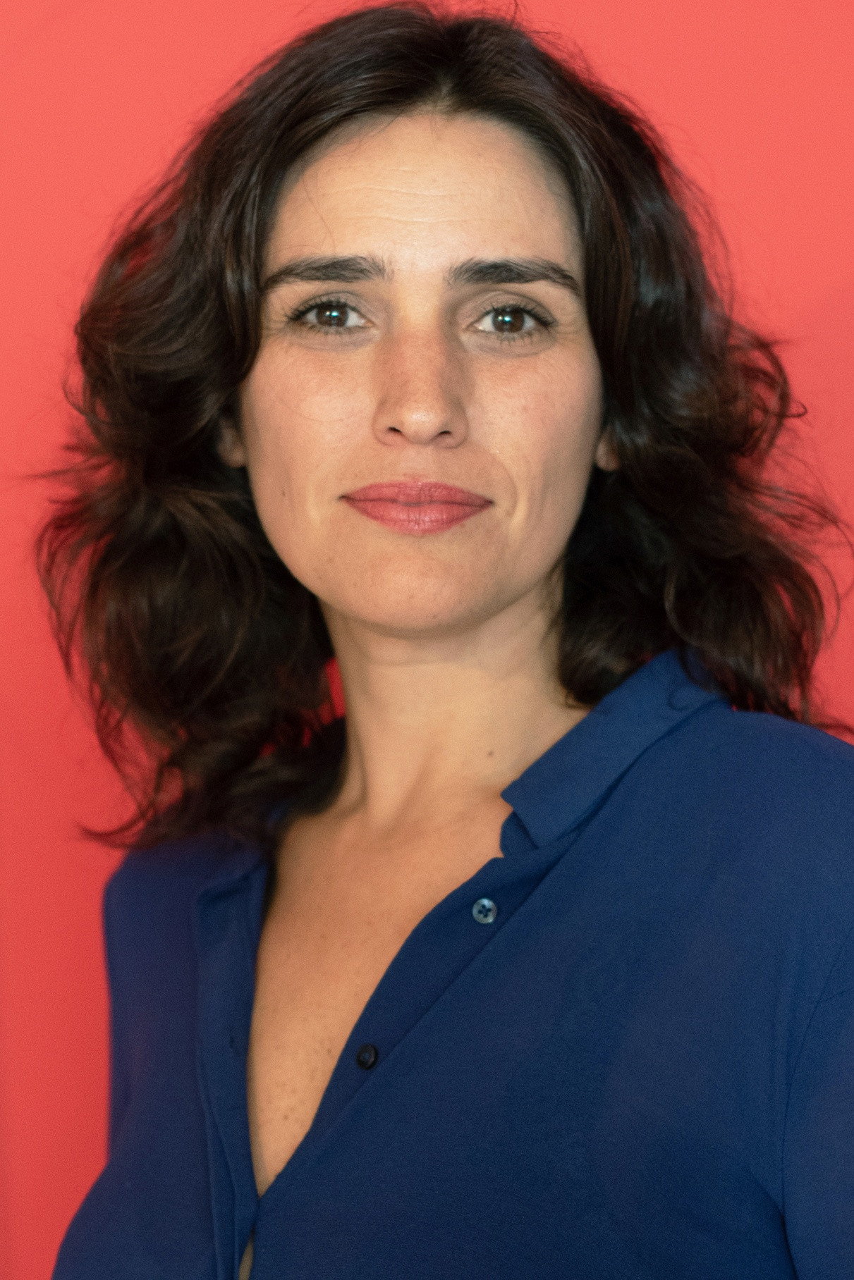 Laura Castro's poster