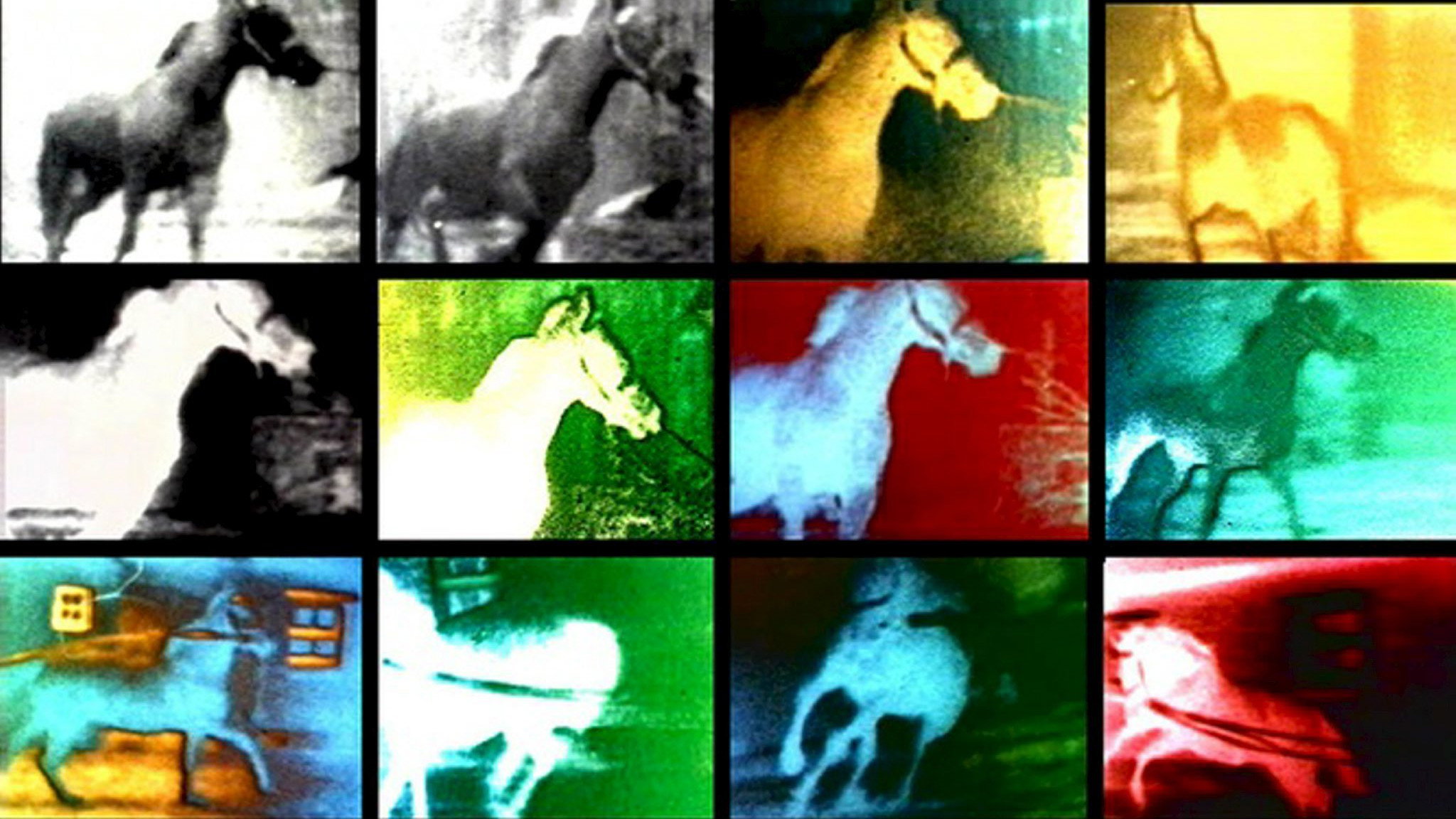 Berlin Horse's poster