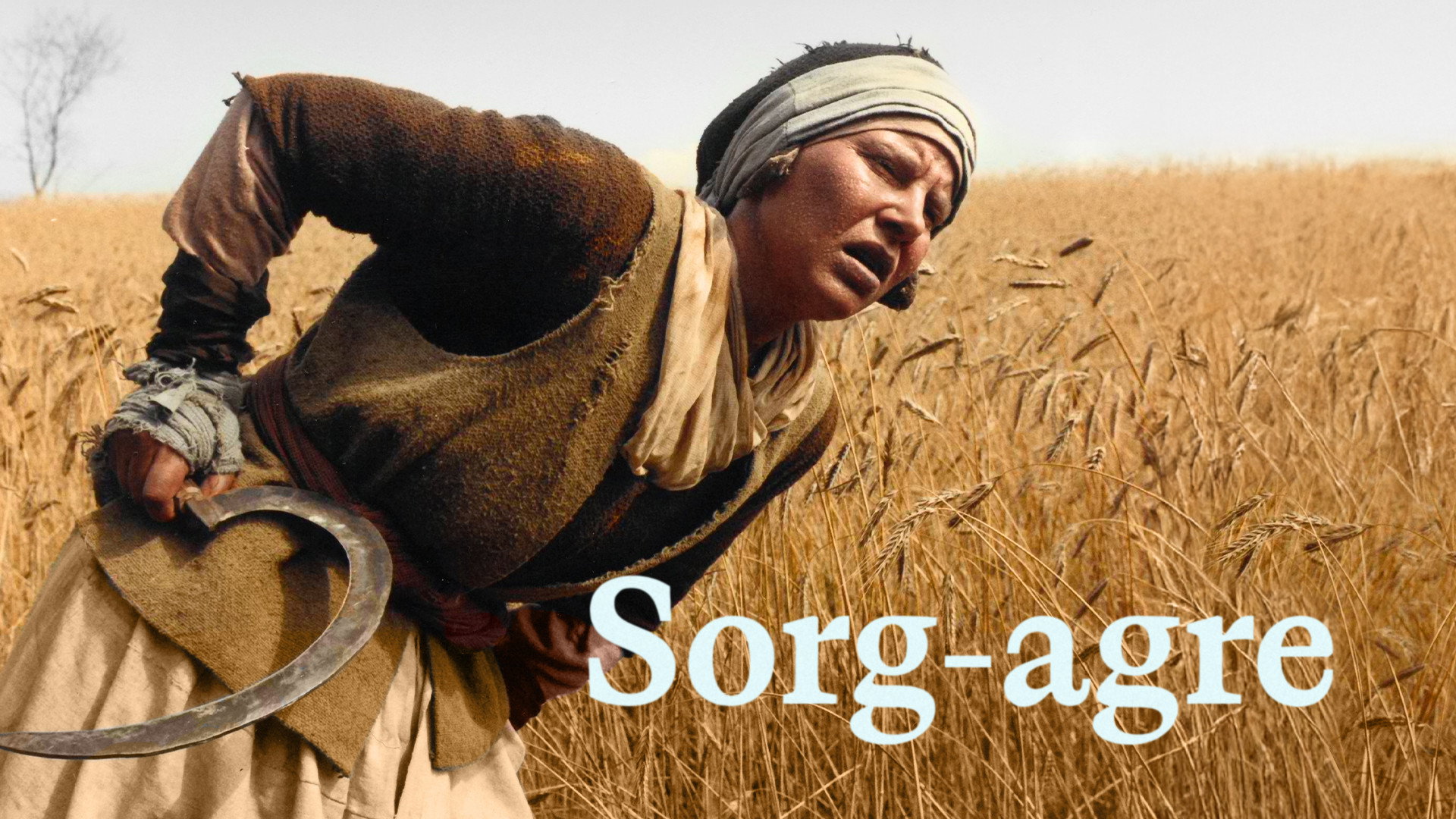 Sorg-agre's poster