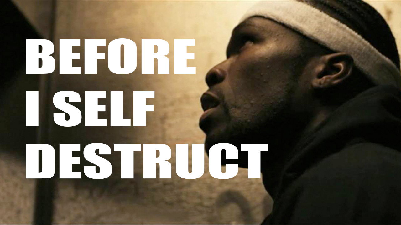 Before I Self Destruct's poster