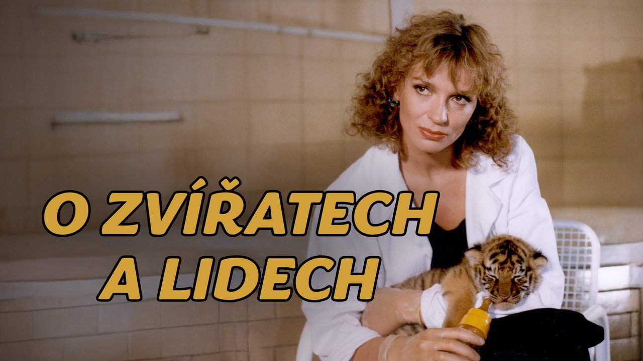 O zvířatech a lidech's poster