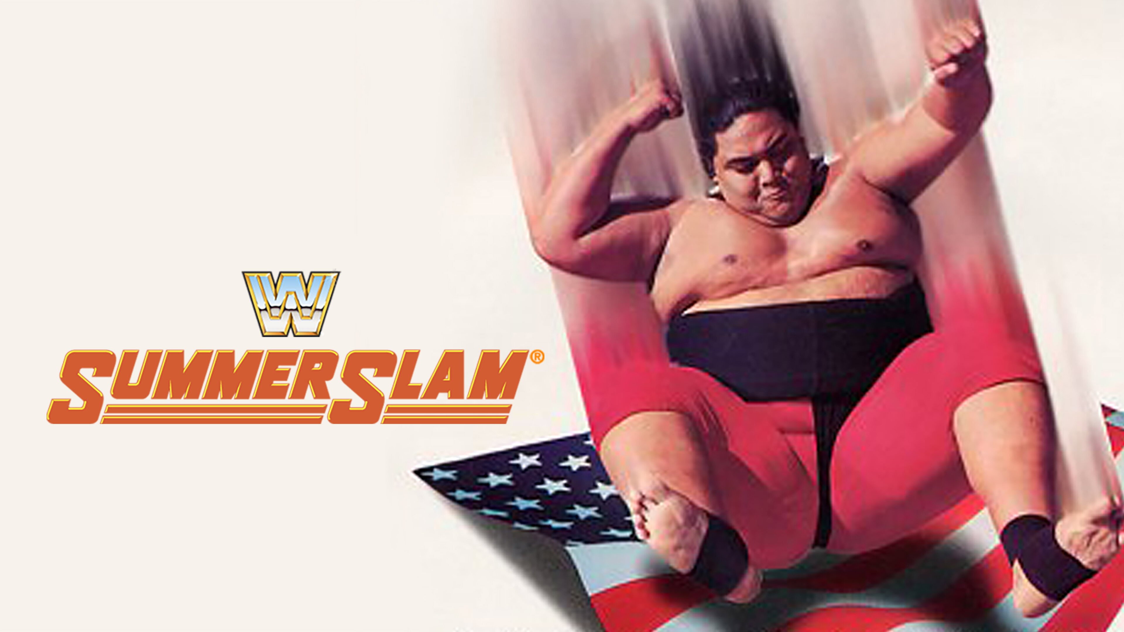 WWE SummerSlam 1993's poster