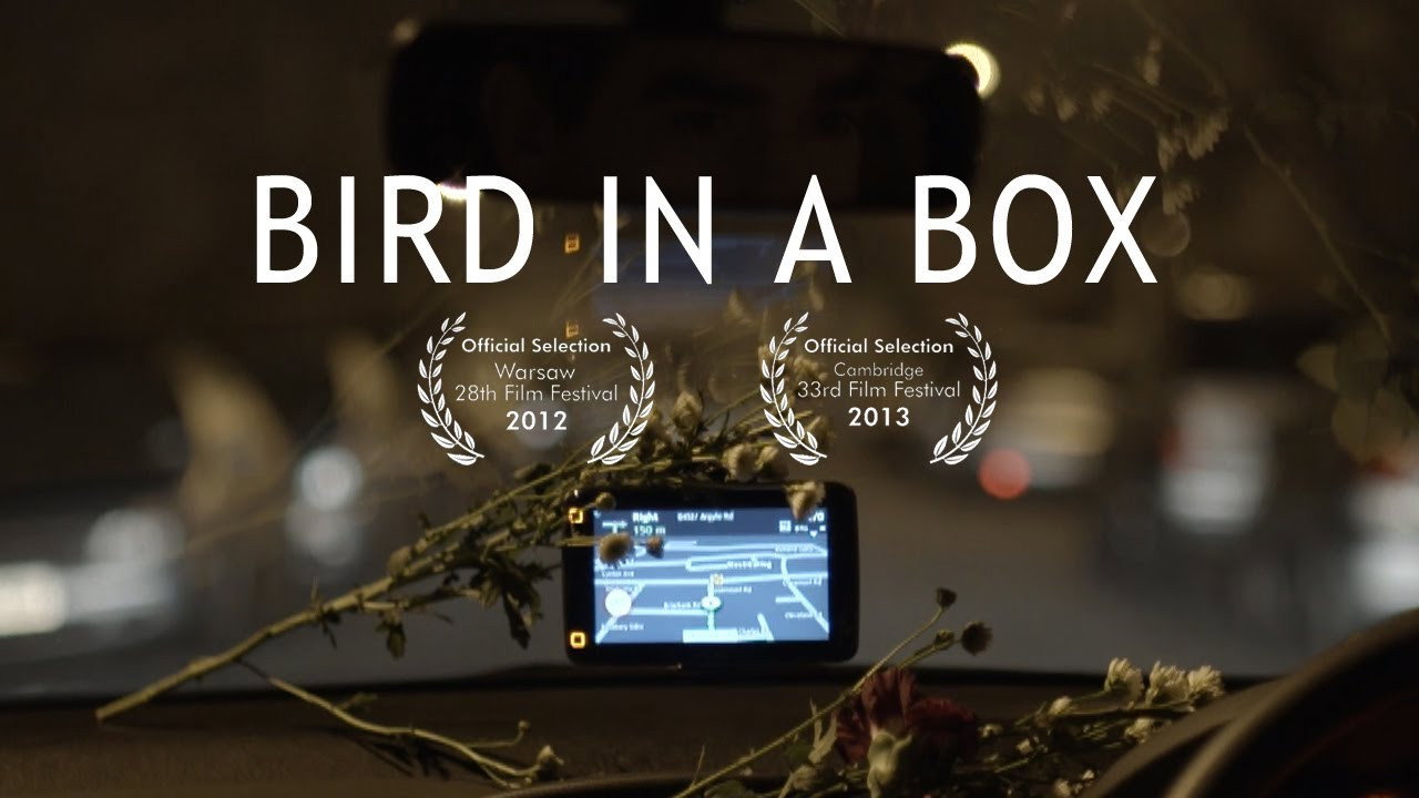 Bird in a Box's poster