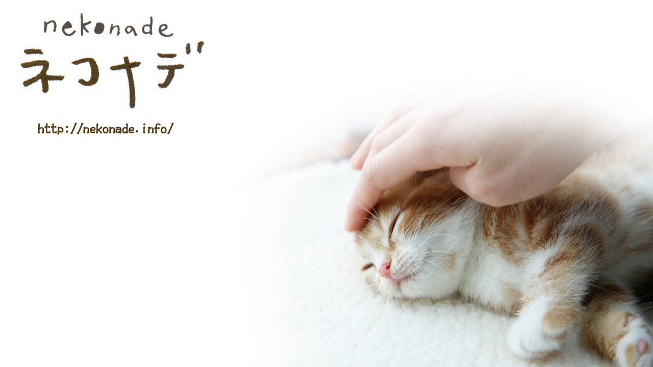 Nekonade's poster