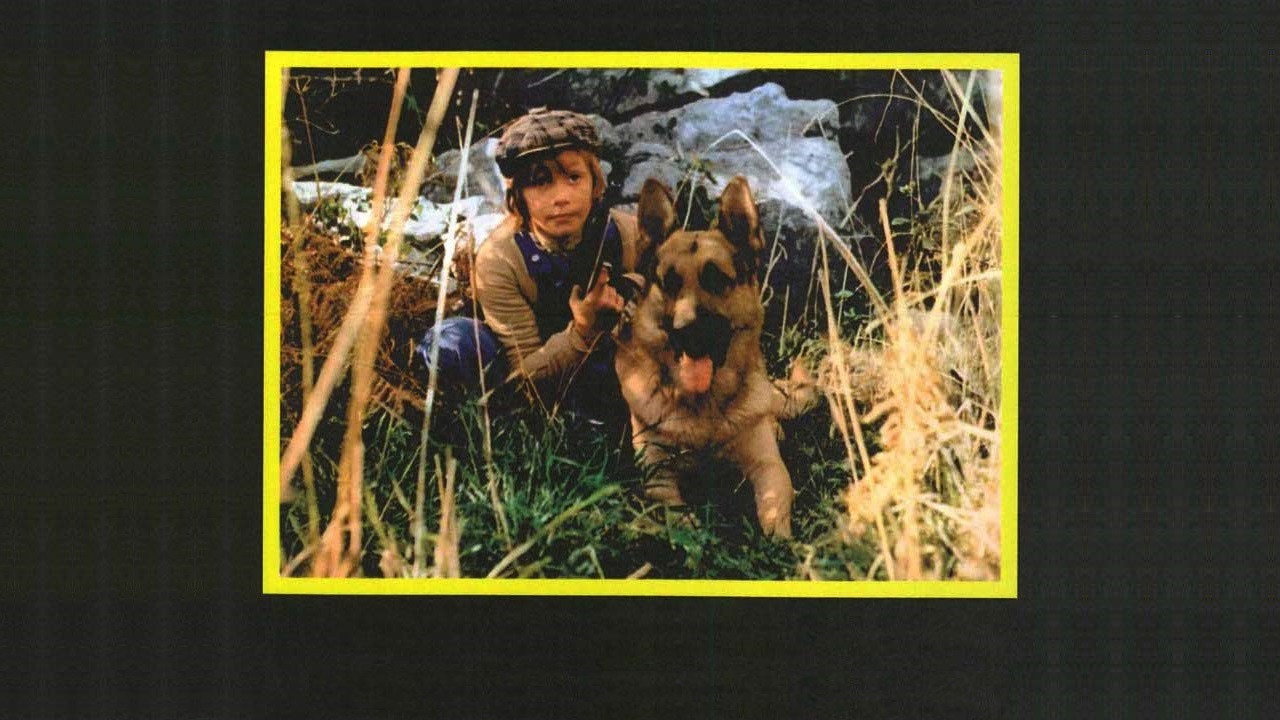 White Fang and the Kid's poster