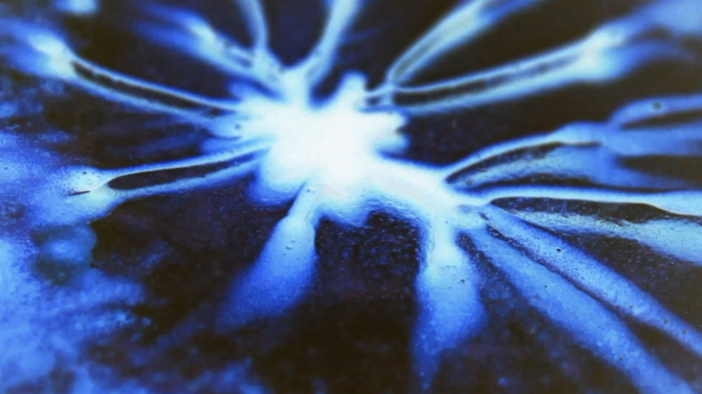 Magnification.'s poster