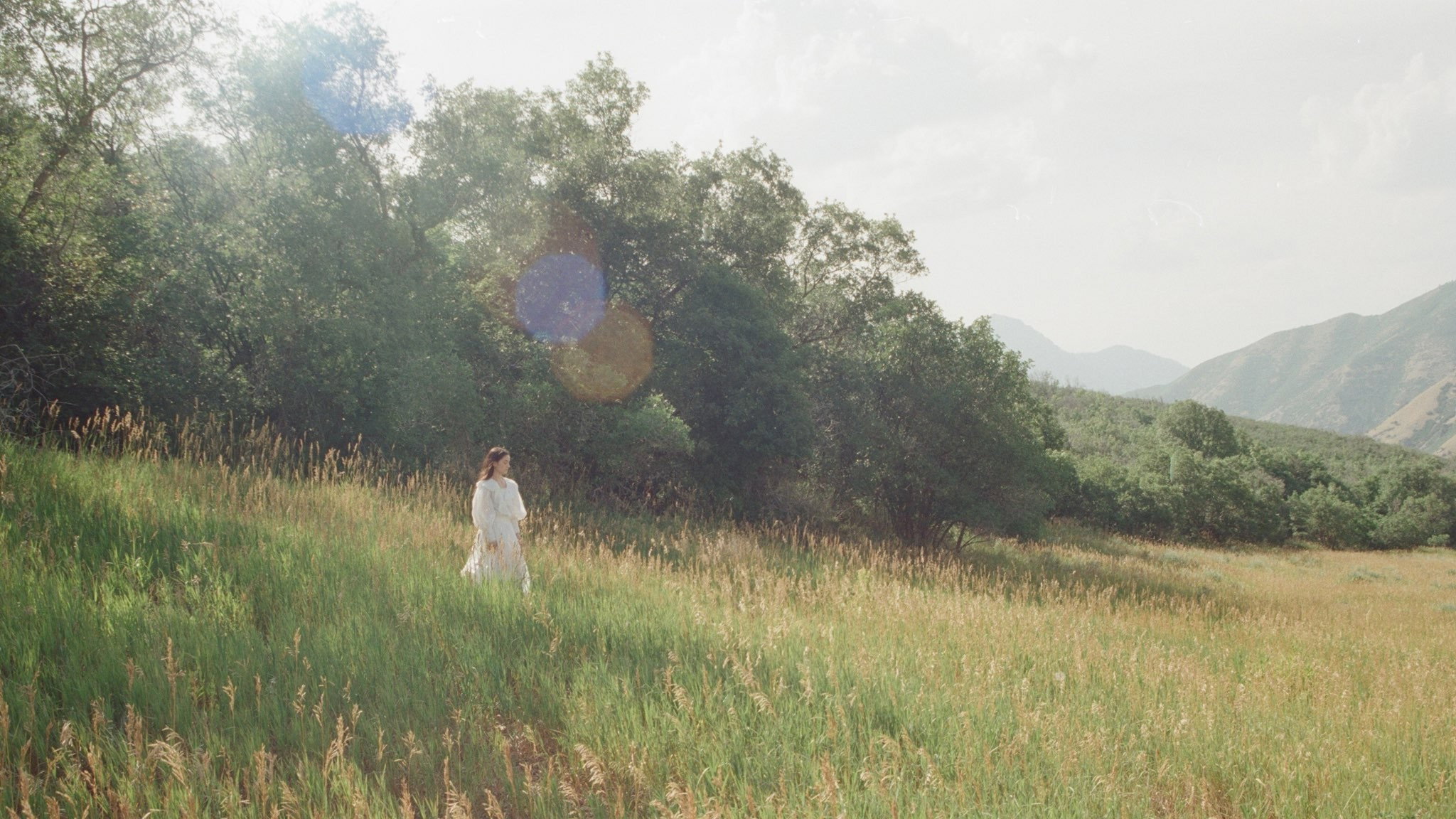 The Meadow's poster