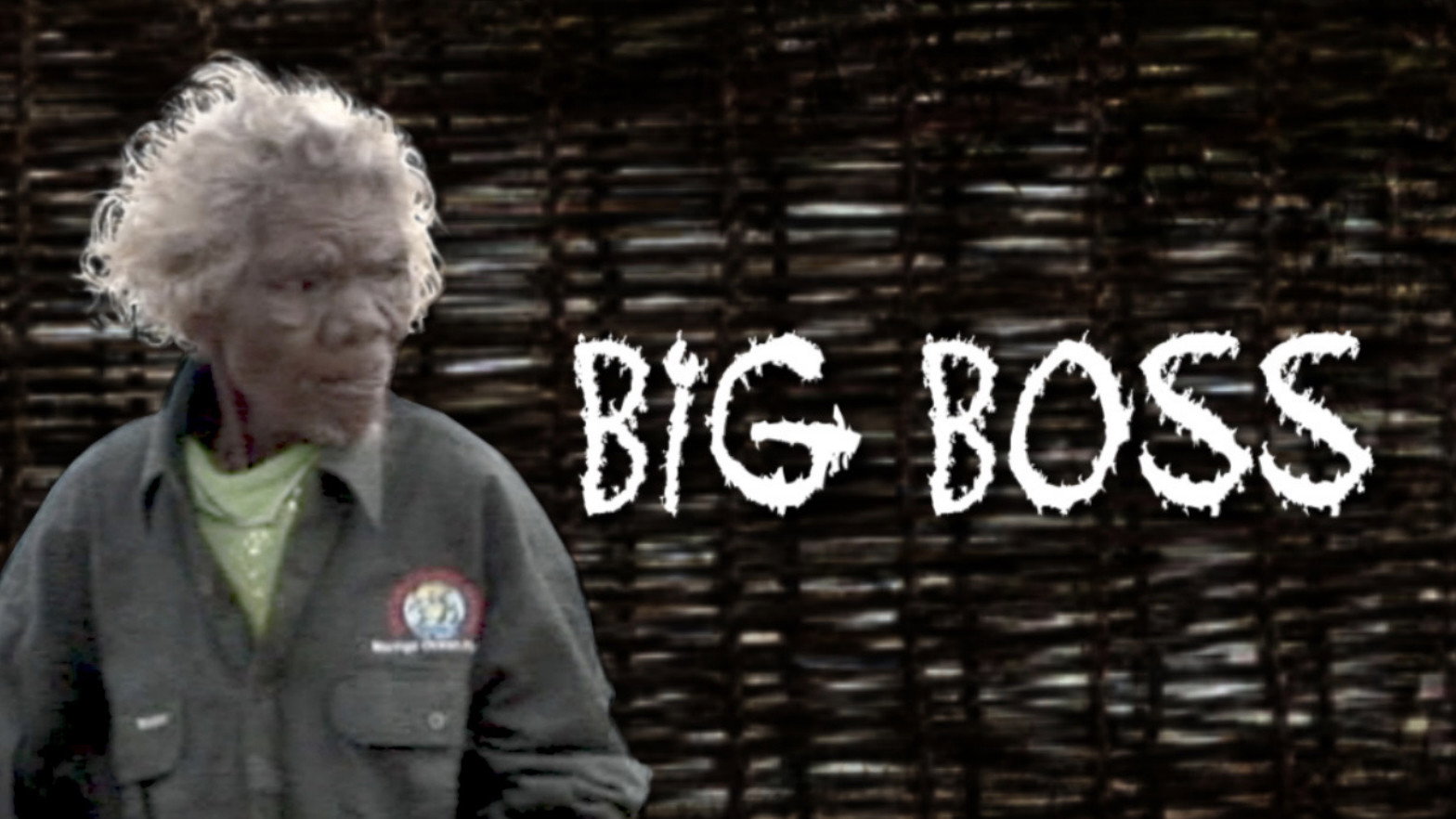 Big Boss's poster