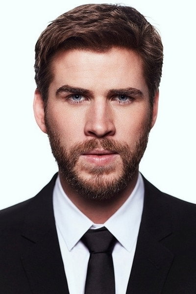Liam Hemsworth's poster