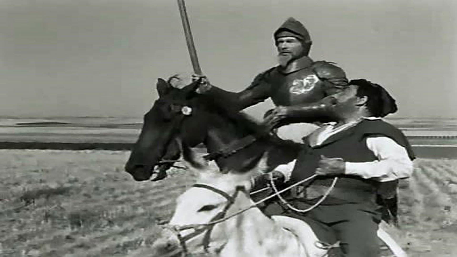 Don Quixote's poster