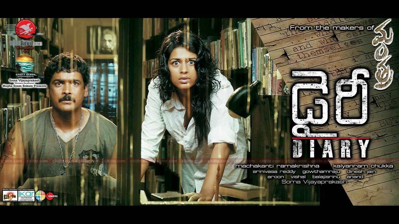 Diary's poster