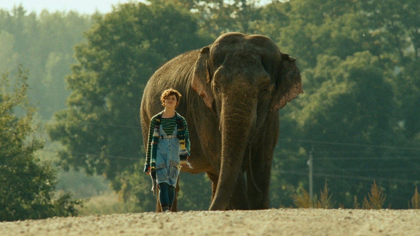 Elephant's poster