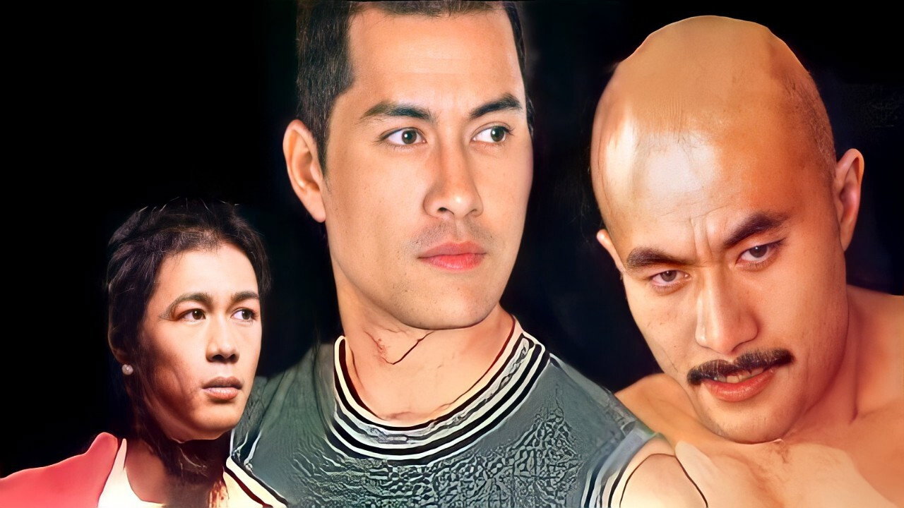 Flash Future Kung Fu's poster