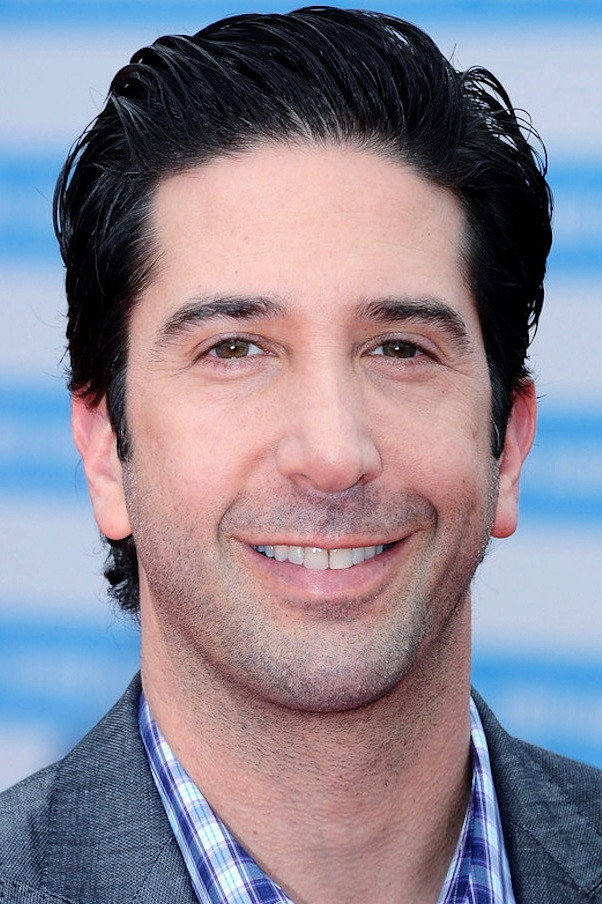 David Schwimmer's poster