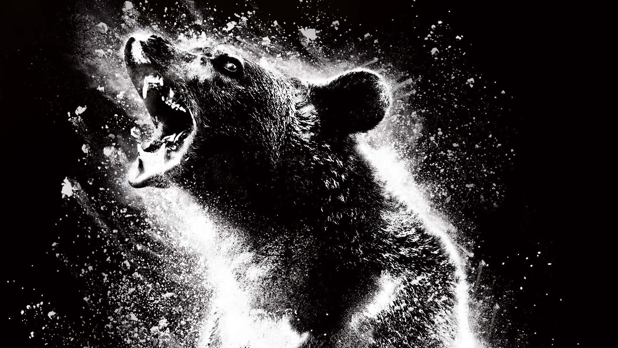 Cocaine Bear's poster