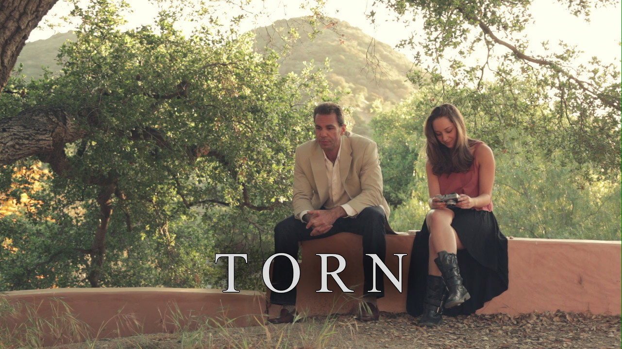 Torn's poster