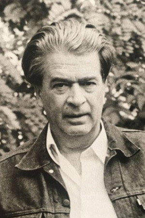 Zdravko Velimirović's poster
