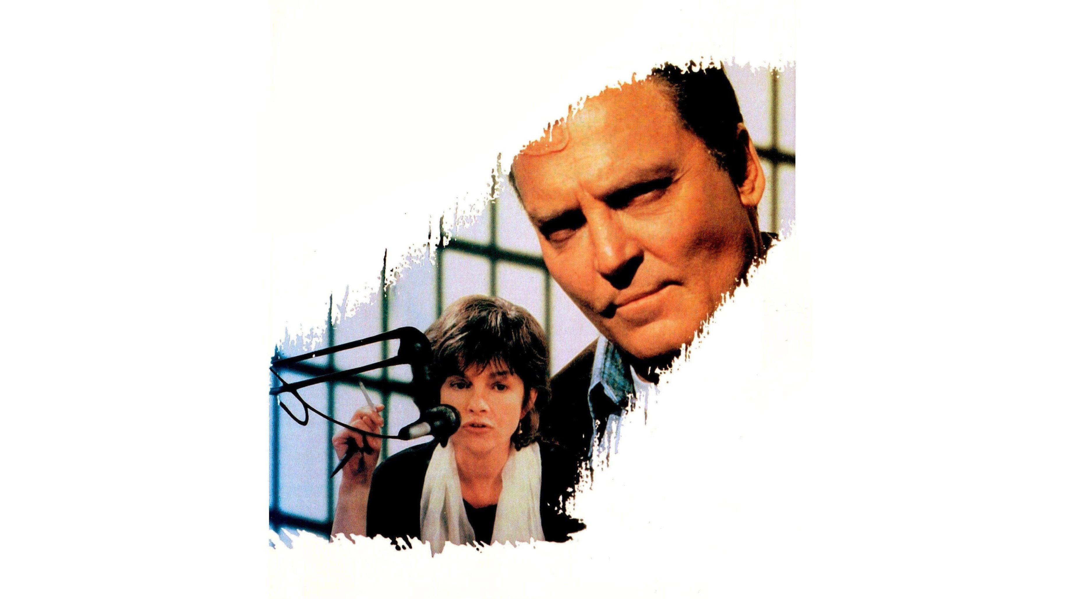 False Identity's poster