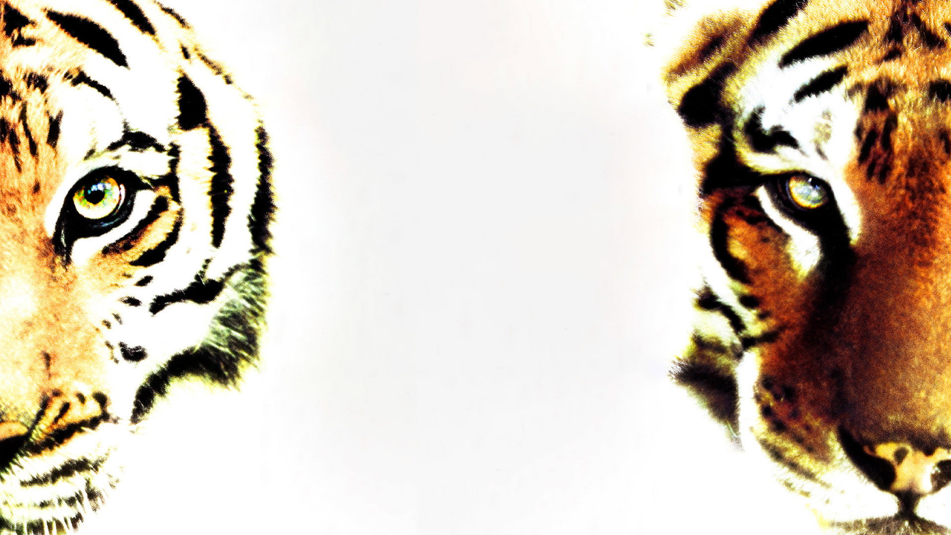Two Brothers's poster