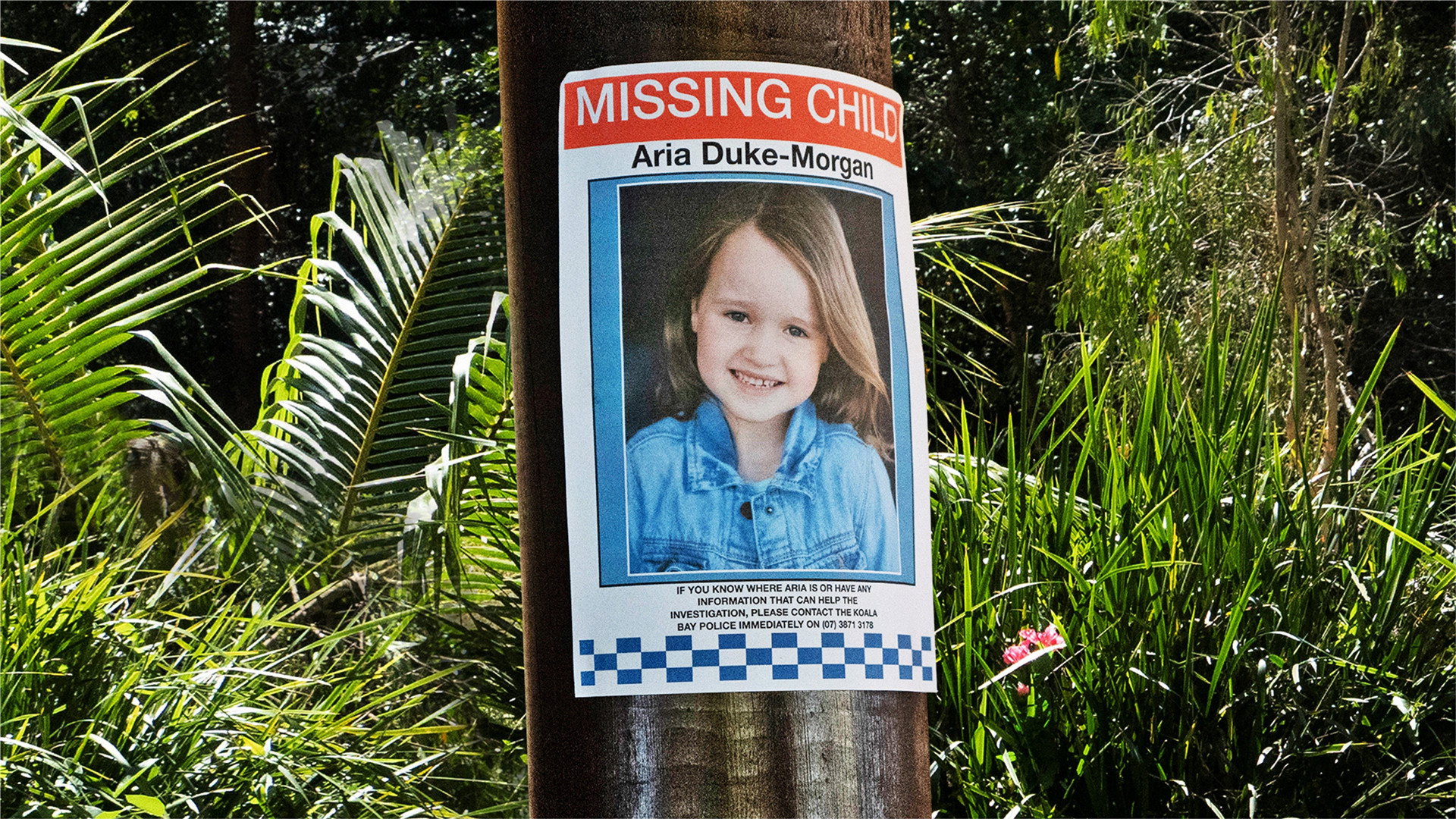 Kidnapped's poster