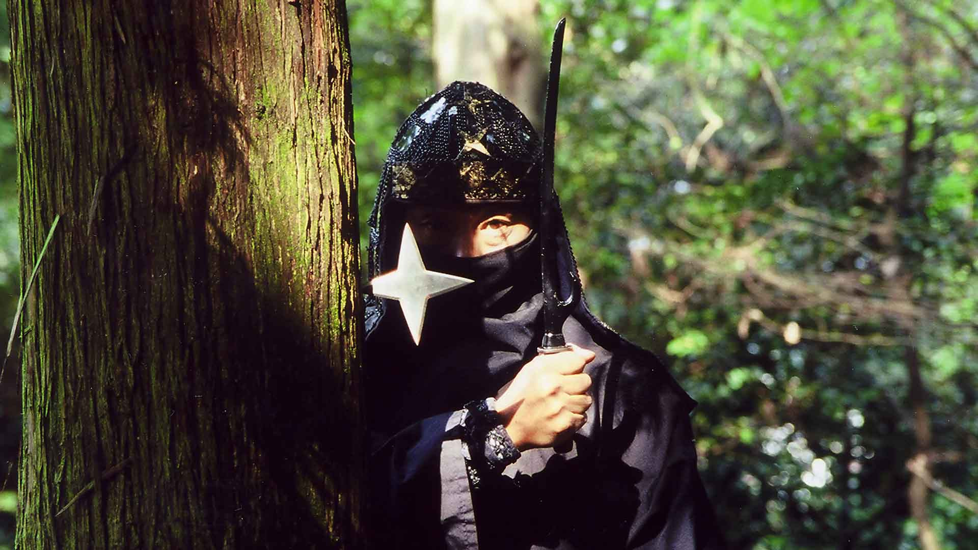 Ninja Condors's poster